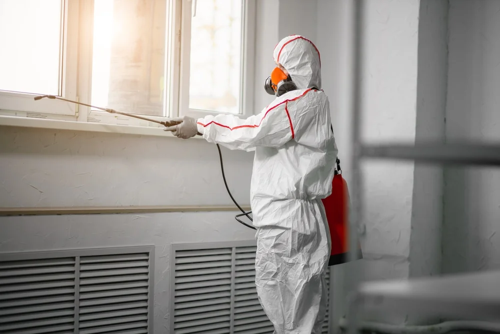 Professional mold remediation services in Saint James City, FL